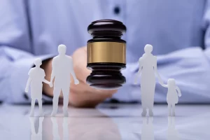 Family_Law_Document_DSM