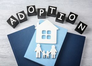 How To Adopt Step Children In New Jersey