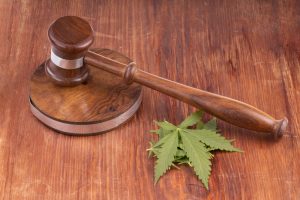 Social Justice & the Impact of Prejudicial Pseudoscience on Legal Marijuana Usage