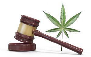 New Jersey becomes the 14th state to legalize the recreational use of marijuana