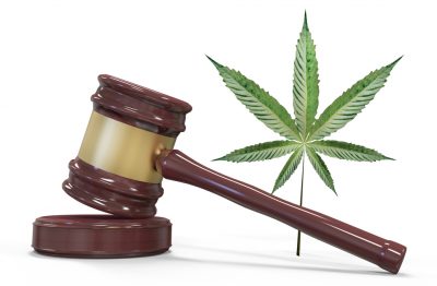 Understanding the Legalization of Marijuana in New Jersey