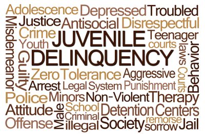 What can a juvenile offender expect in the New Jersey juvenile justice system?