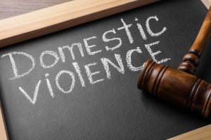 Who does the Prevention of Domestic Violence Act of 1991 protect?