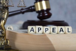 Family Court Appeals in New Jersey