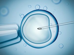 How Courts Handle Frozen Embryos in Divorce in New Jersey 