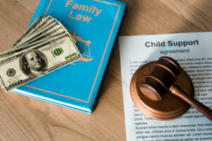 What Makes New Jersey's Child Support Model Different?