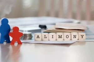 Alimony_Afford_DSM