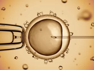 Articifial_Insemination_DDSM