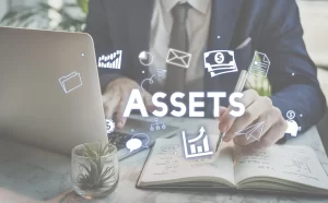 Business_Assets_DSM