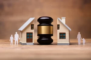 Child_Custody_Law_DDSM