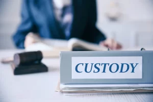 Custody_Tips_DDSM