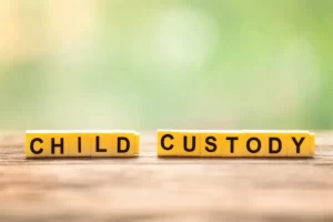 Custody_Type_DSM