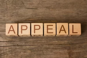 Divorce_Appeal_DSM