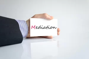 Economic_Mediator_DSM