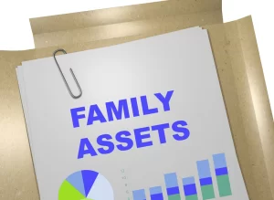 Family_Assets_DSM