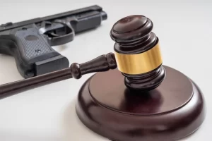 Handgun_Possession_DDSM