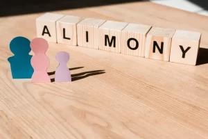 Lump-Sum_Alimony_DSM