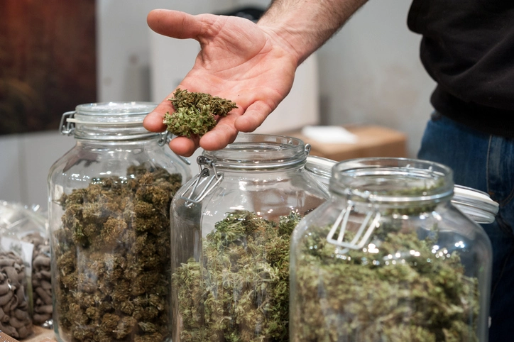 Passaic County Synthetic Marijuana Possession and Distribution Lawyer